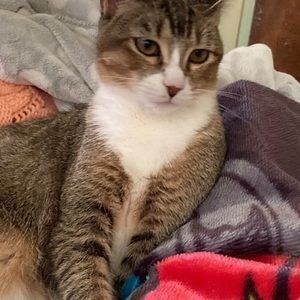 Meet your Posher, Rose